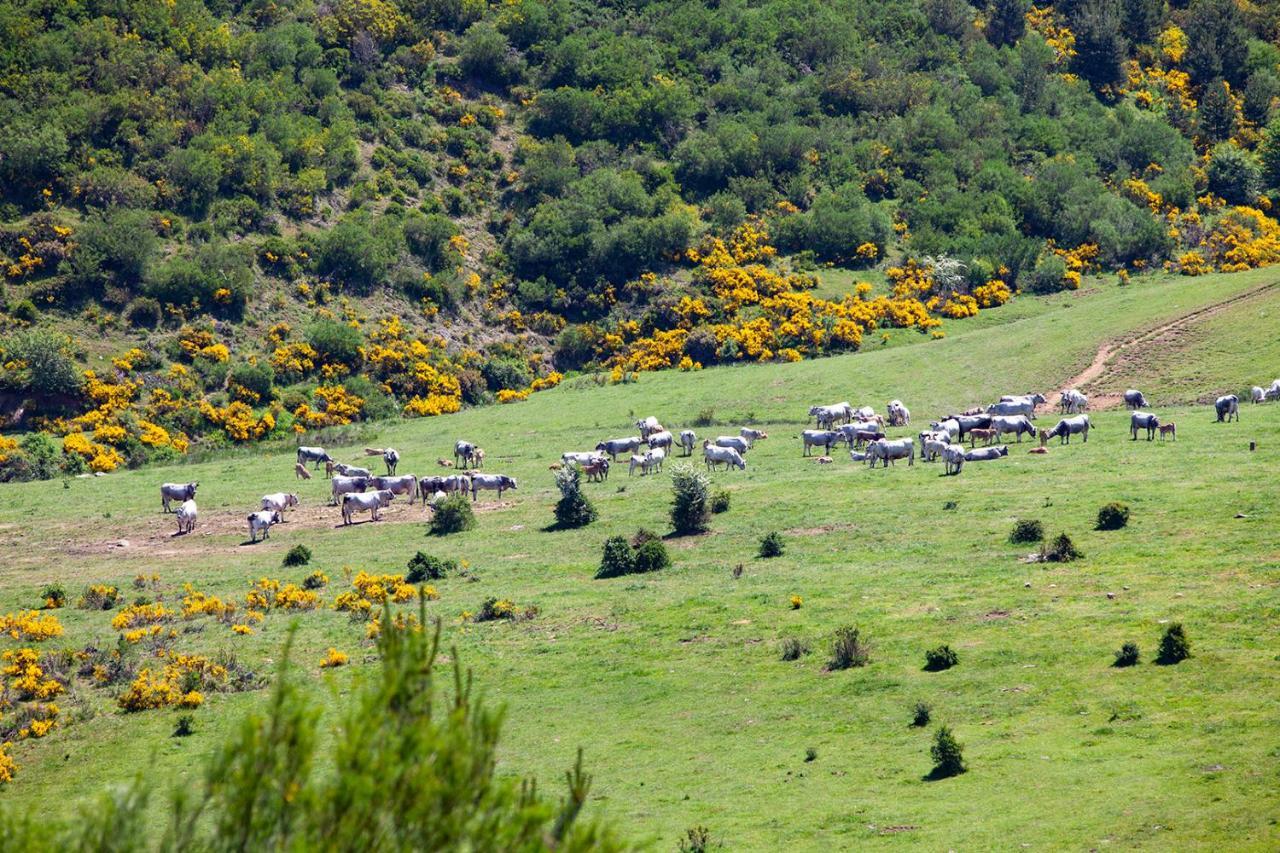 Casa Rural La Majada De Penacorada Guest House Fuentes de Peñacorada Екстериор снимка